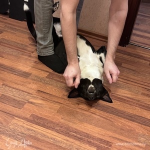 Фотография профиля