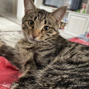 Фотография профиля