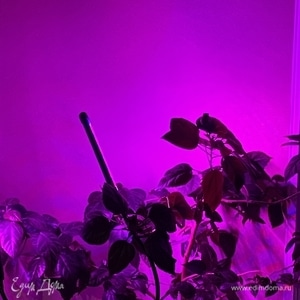 Фотография профиля