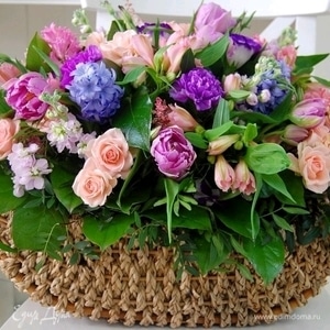 Фотография профиля