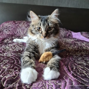 Фотография профиля