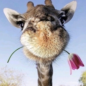 Фотография профиля