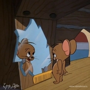 Фотография профиля