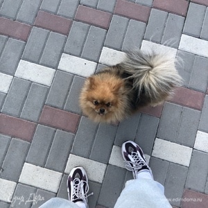 Фотография профиля