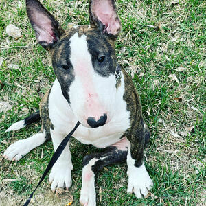 Фотография профиля