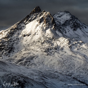 Фотография профиля