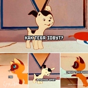 Фотография профиля