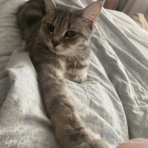 Фотография профиля