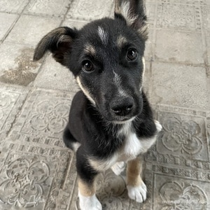 Фотография профиля