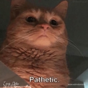 Фотография профиля