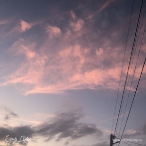 Фотография профиля