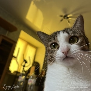 Фотография профиля