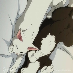 Фотография профиля