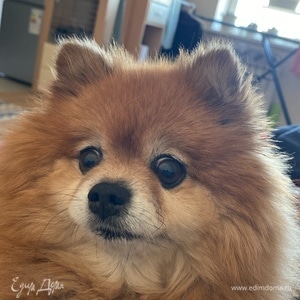 Фотография профиля