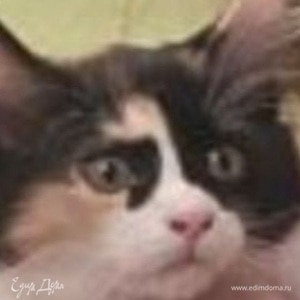 Фотография профиля