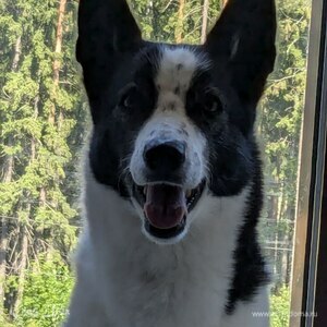 Фотография профиля