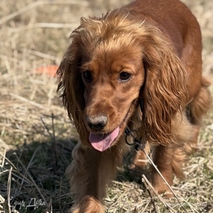 Фотография профиля