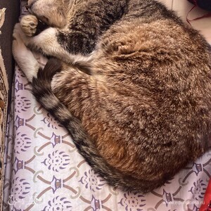 Фотография профиля