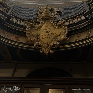 Фотография профиля