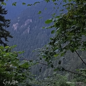 Фотография профиля