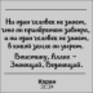 Фотография профиля