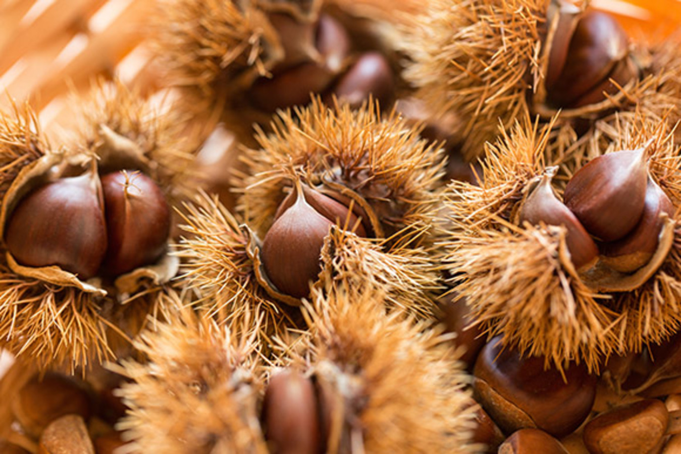 Фото из статьи