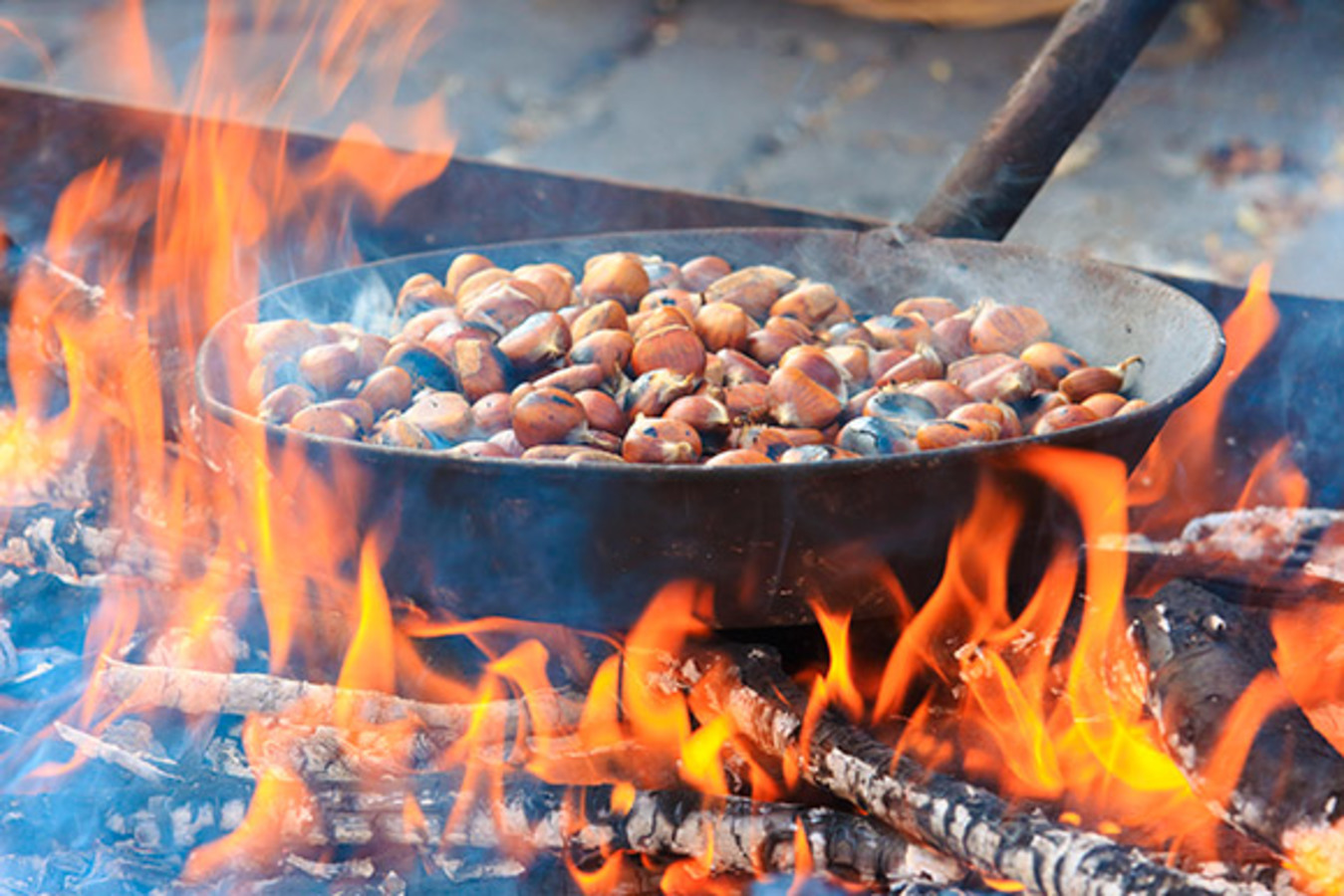 Фото из статьи