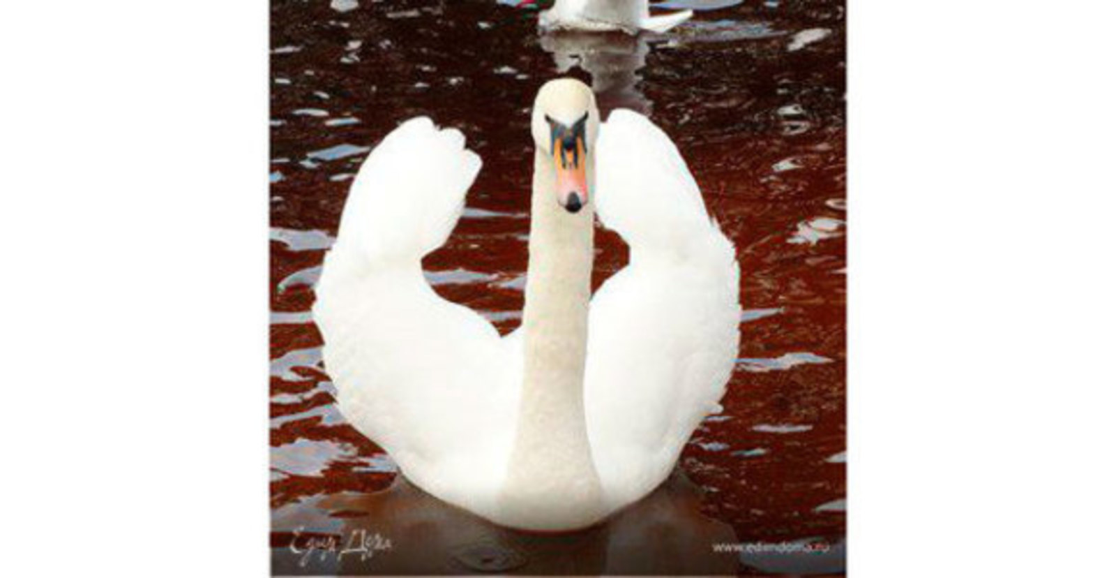 Фото из статьи