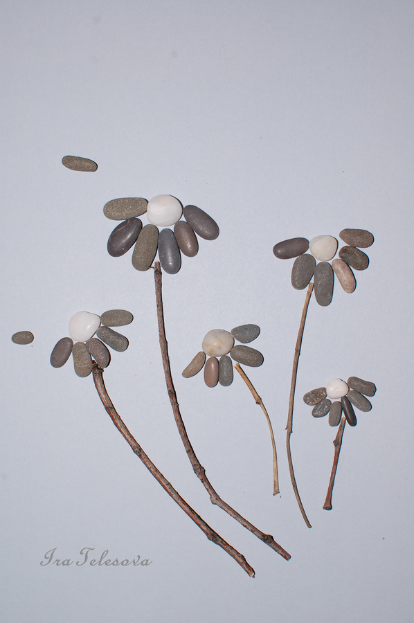 Фото из статьи