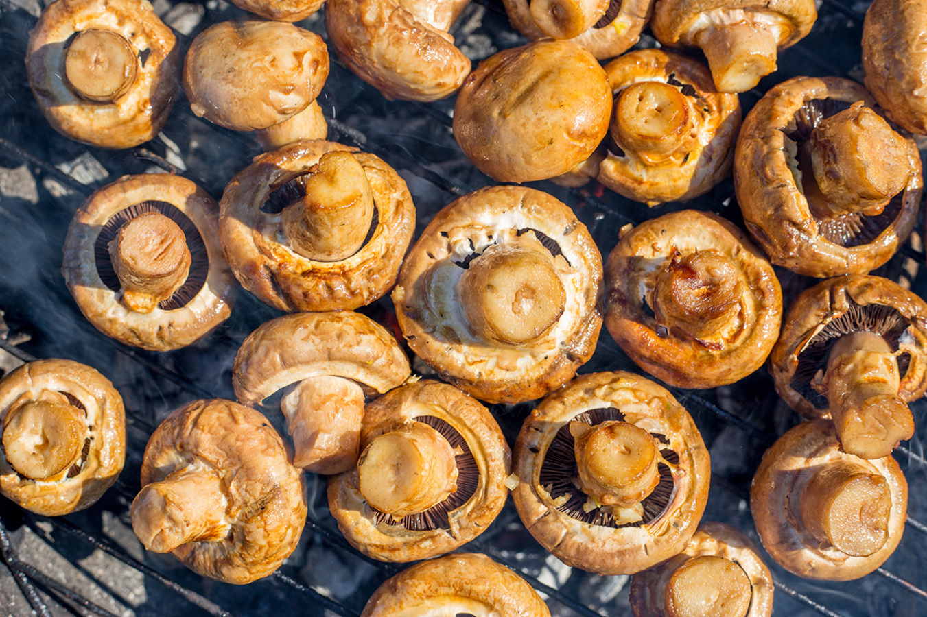 Фото из статьи