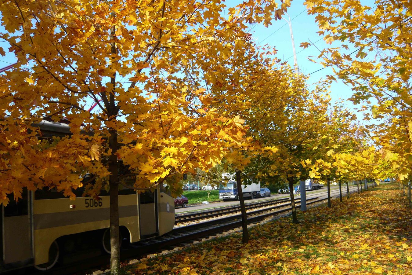 Фото из статьи