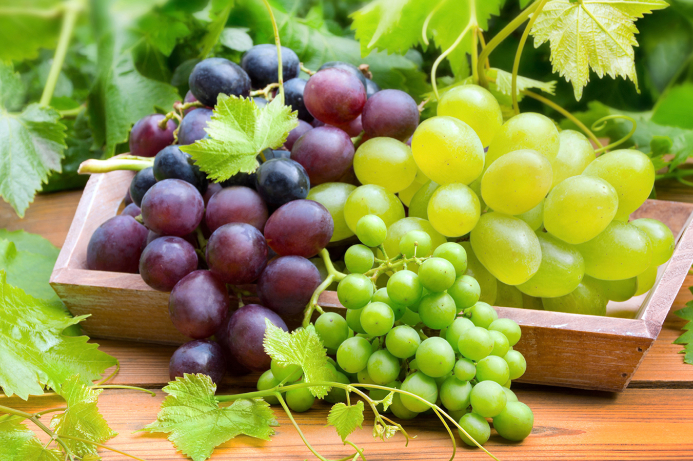 Фото из статьи