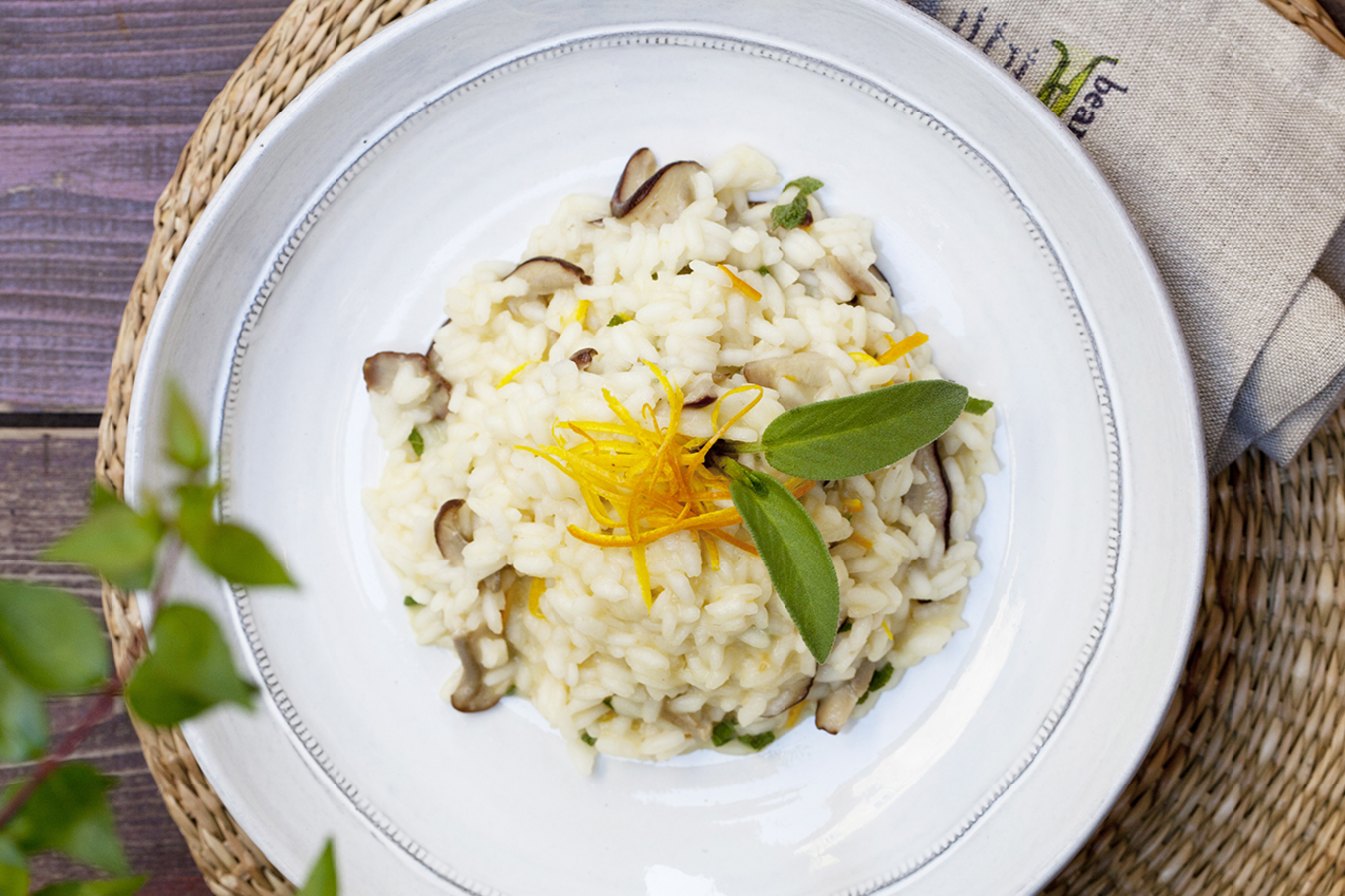 Фото из статьи