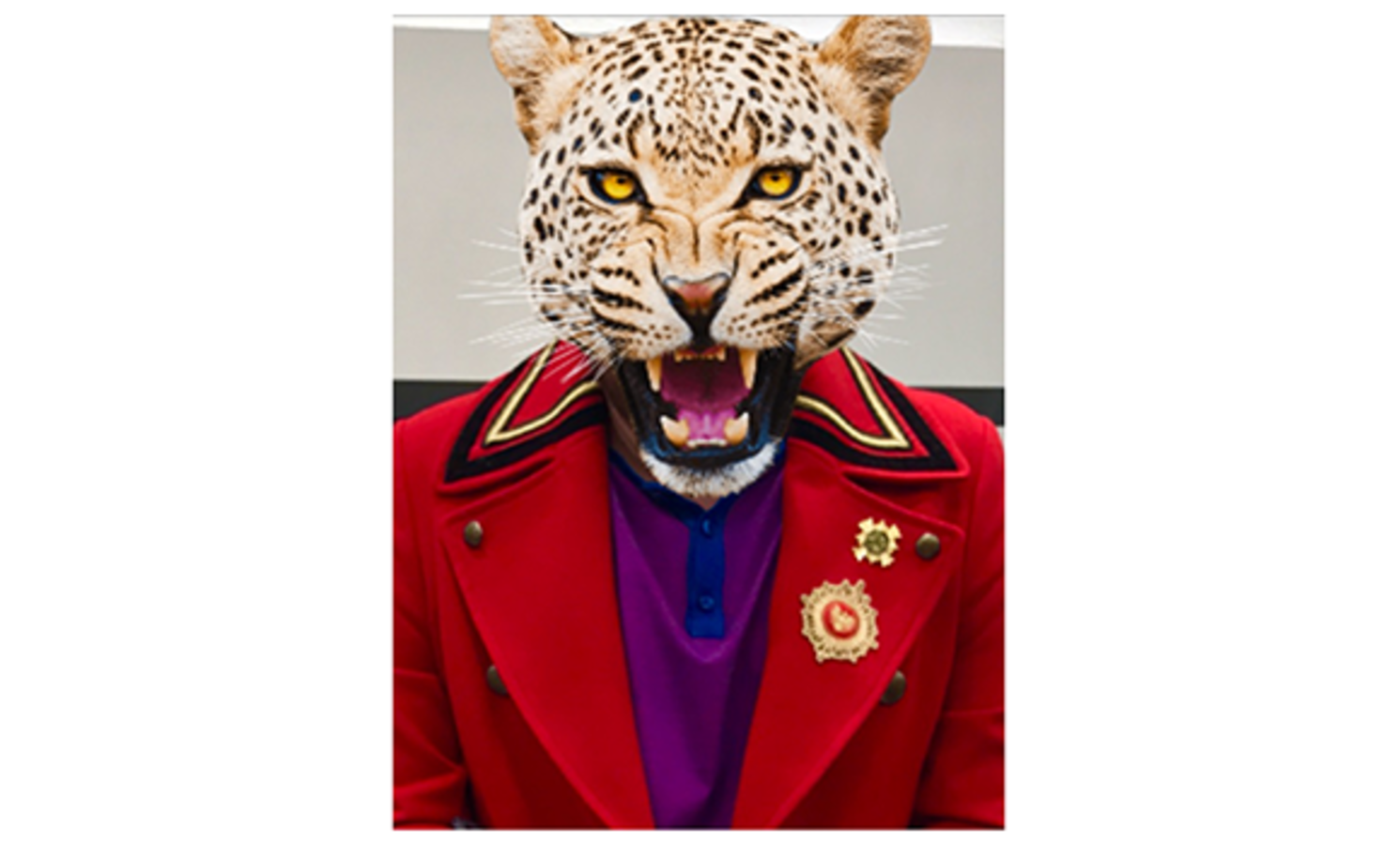 Фото из статьи