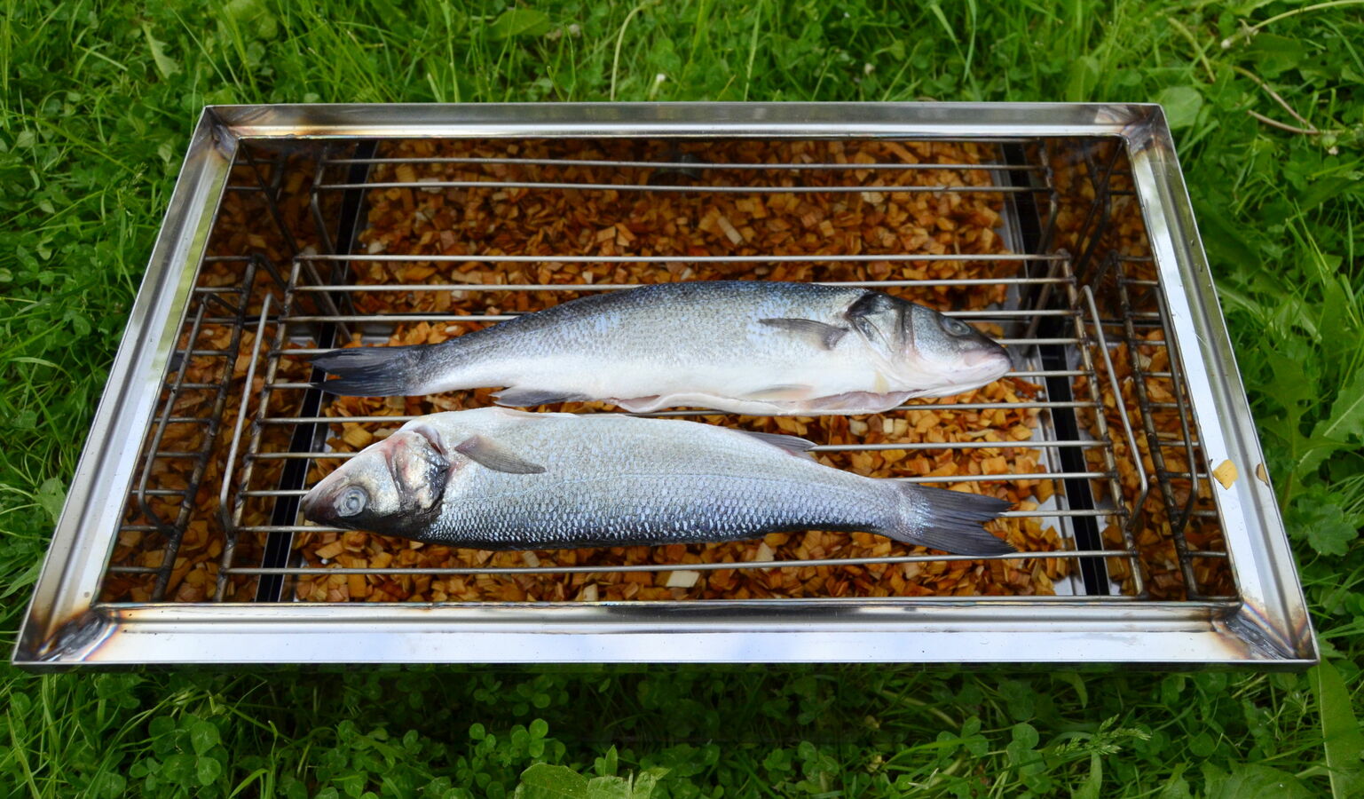 Фото из статьи