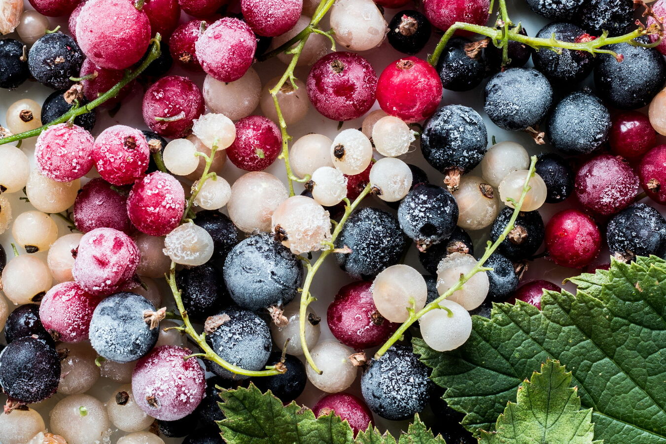 Фото из статьи