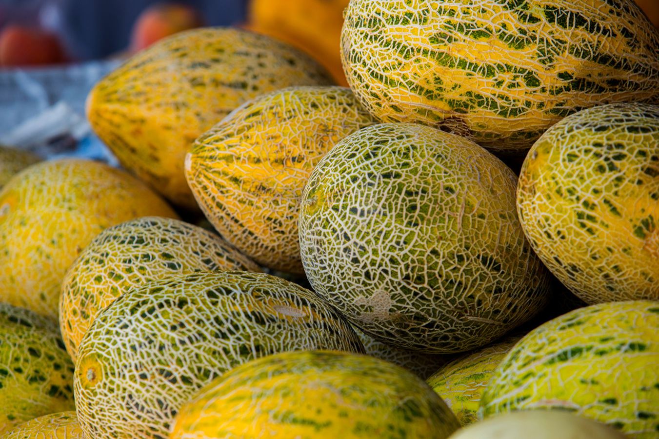 Фото из статьи