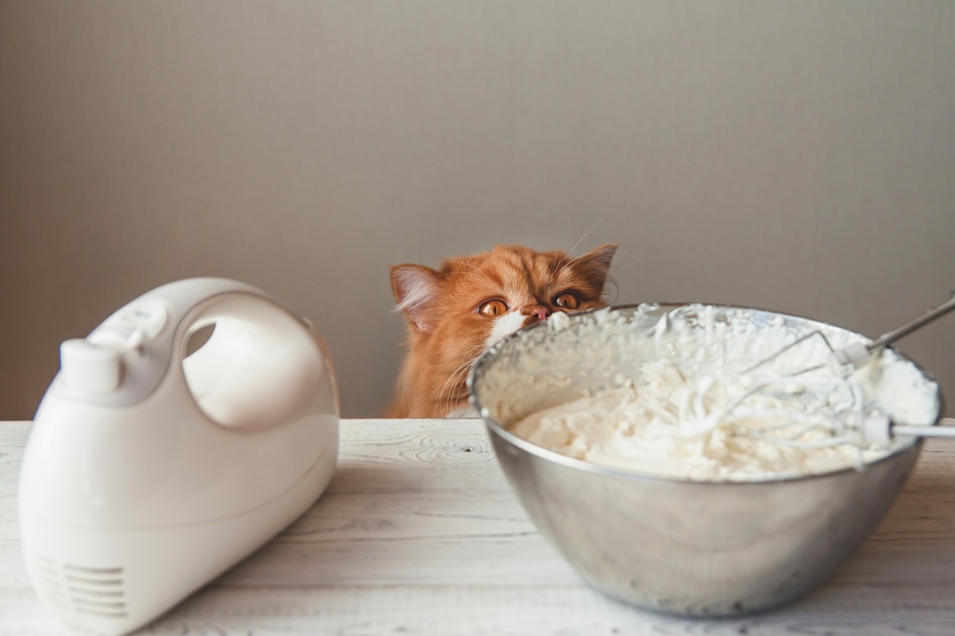 Фото из статьи