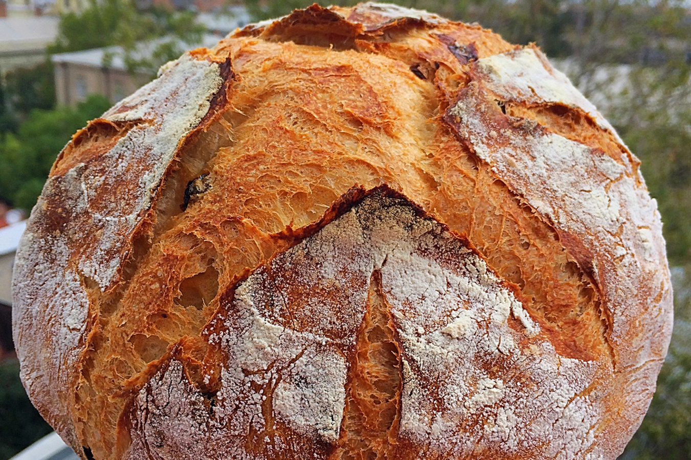 Фото из статьи