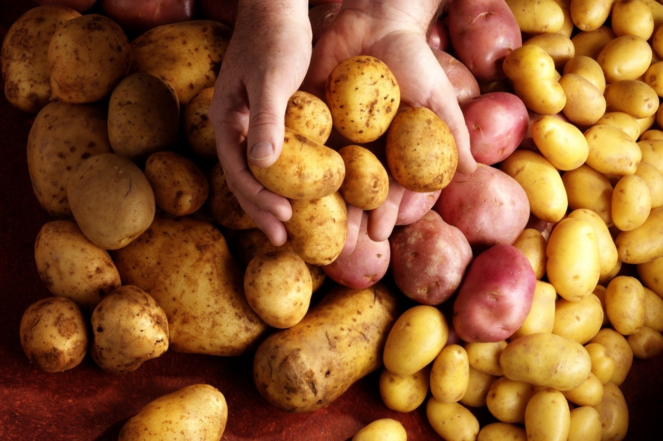 Фото из статьи