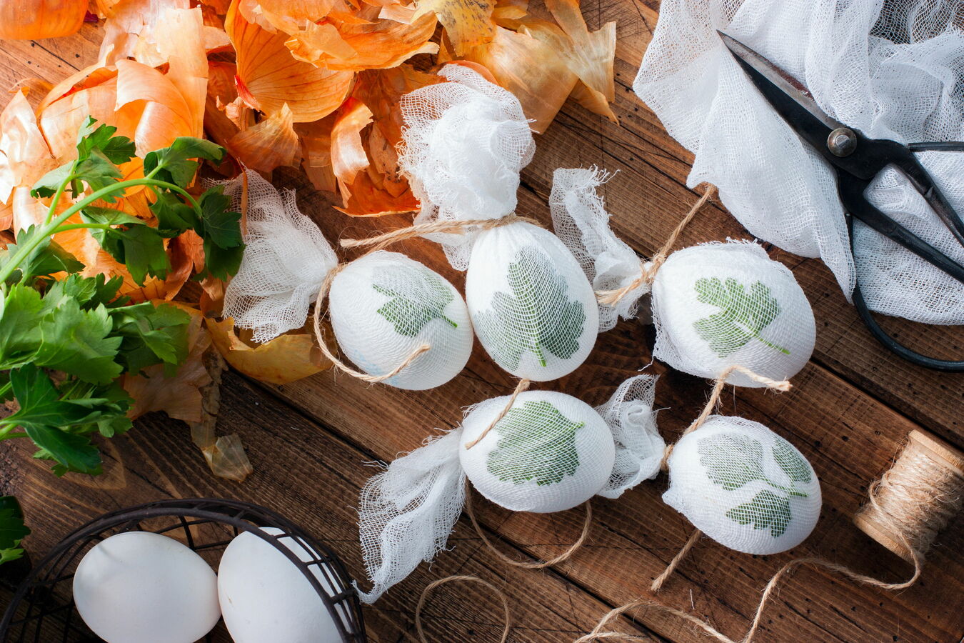 Фото из статьи