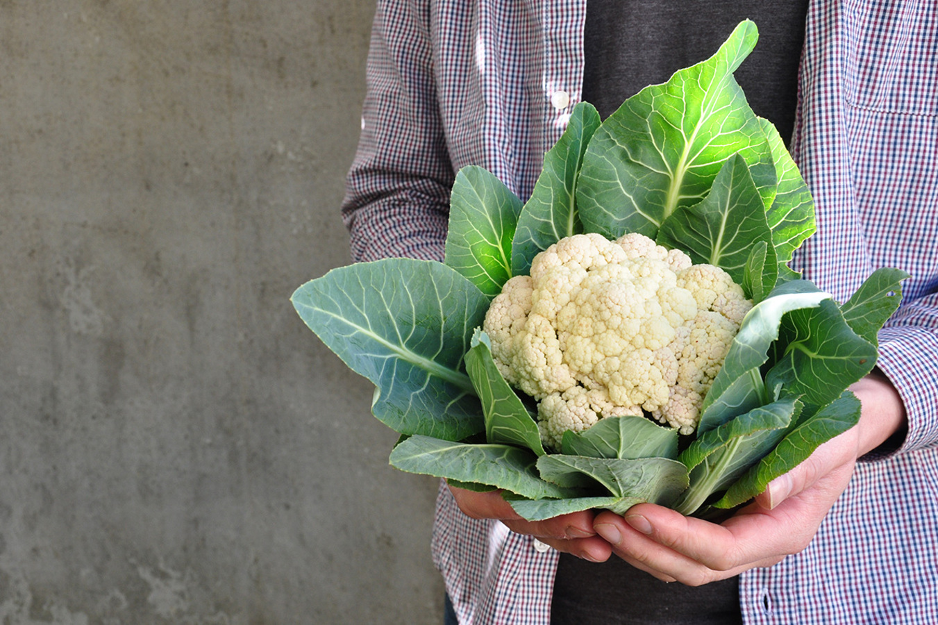 Фото из статьи