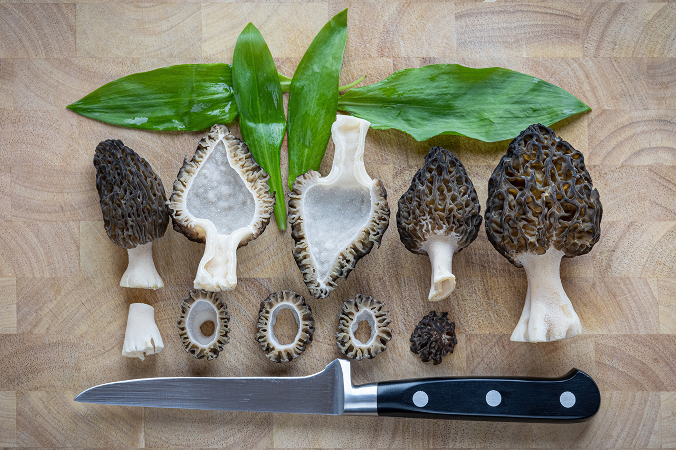 Фото из статьи