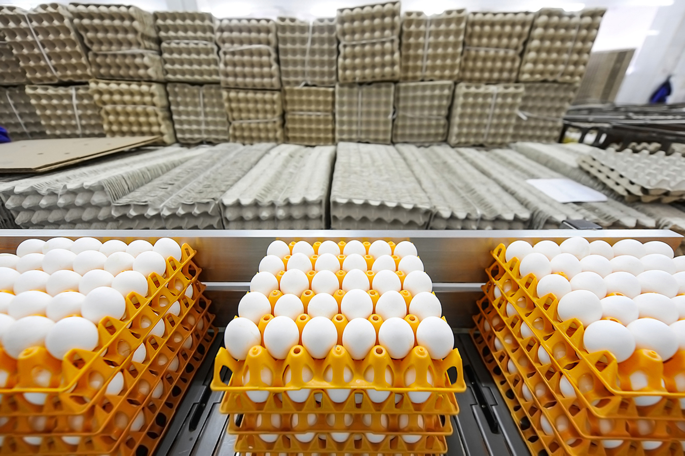 Фото из статьи