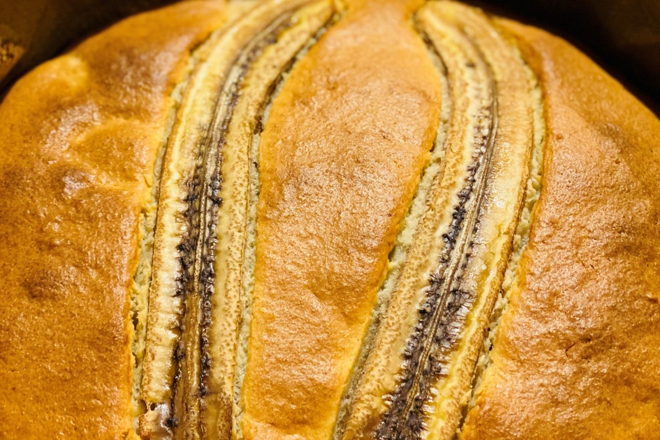 Фото из статьи