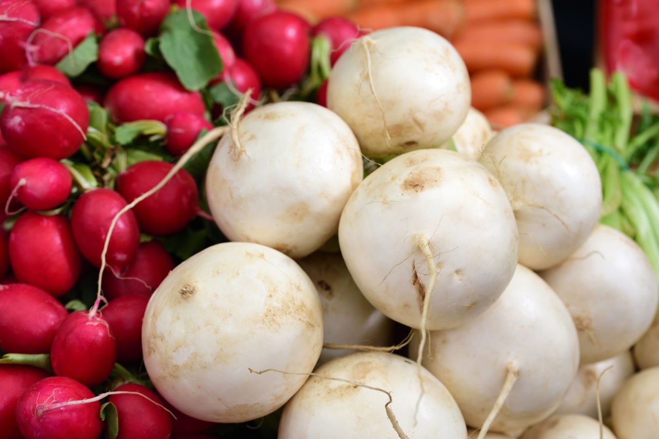 Фото из статьи