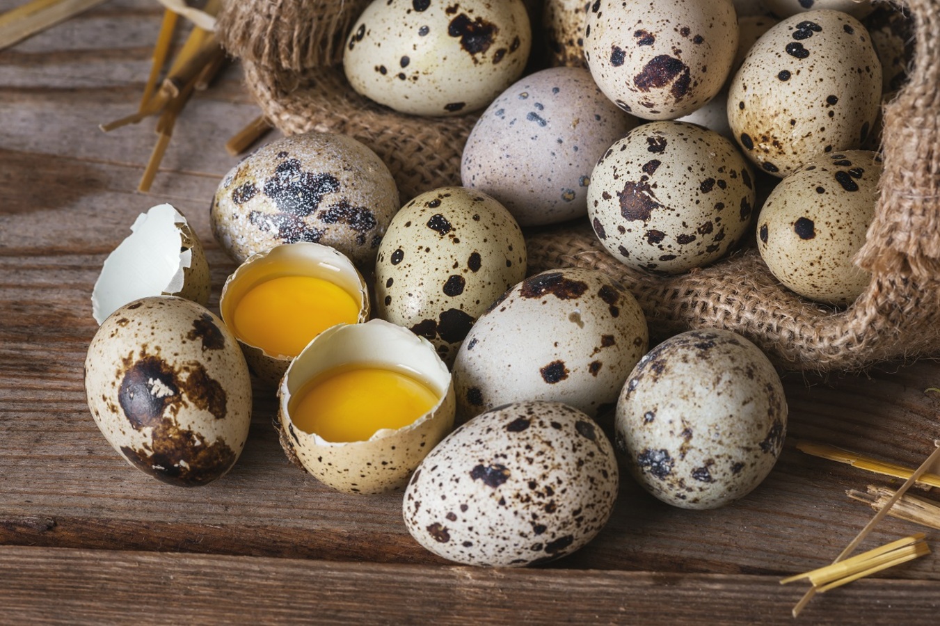 Фото из статьи