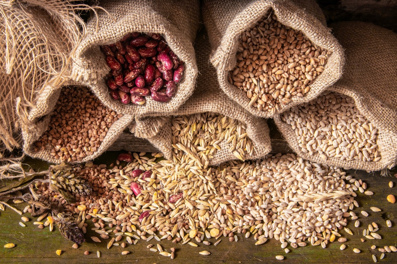 Фото из статьи