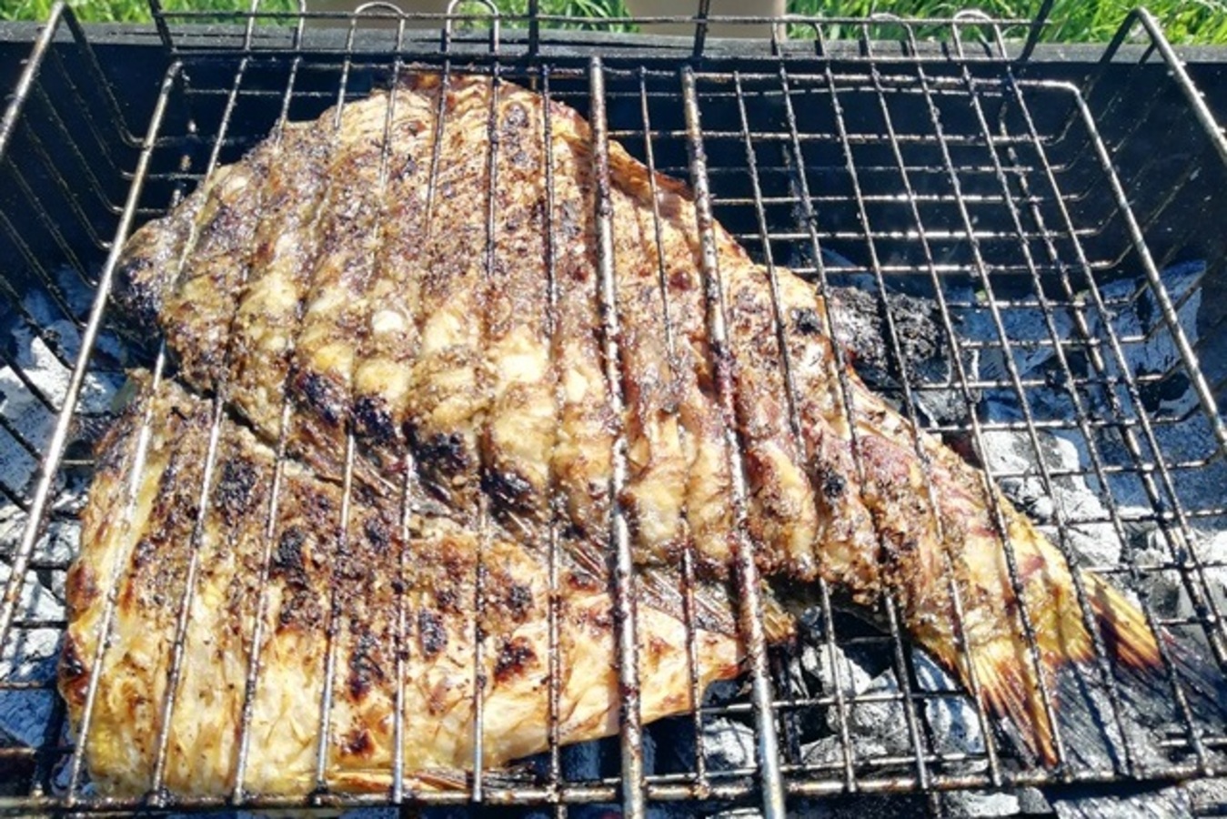 Фото из статьи