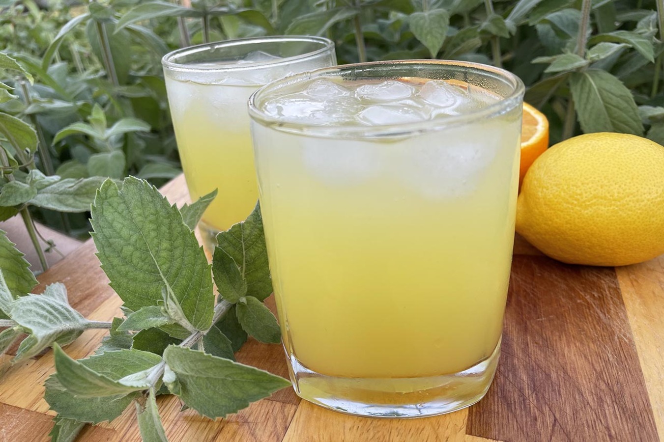 Фото из статьи